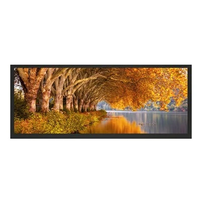 Màn hình hiển thị LCD LCD 12,3 inch